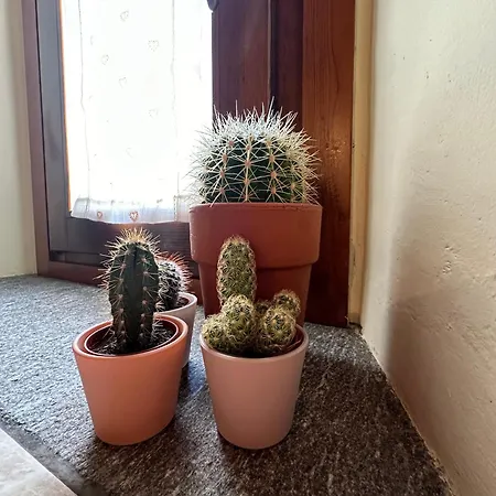 La Comoda Casetta Cir 0490 Appartamento *