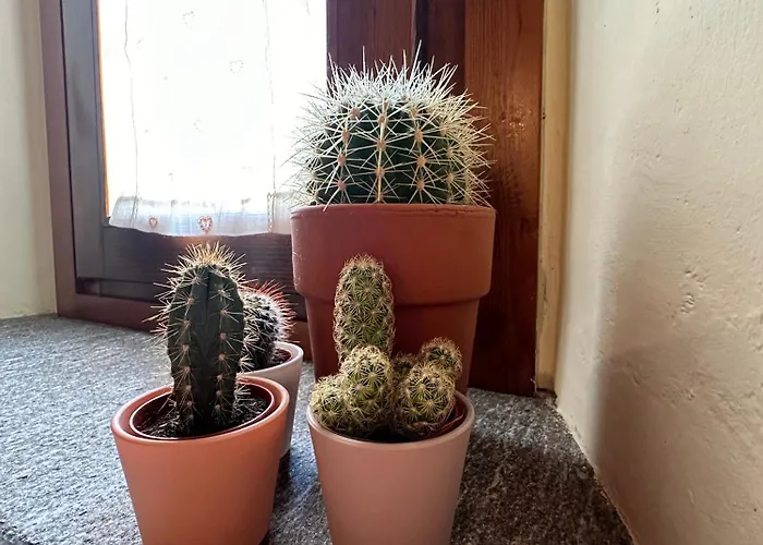 La Comoda Casetta Cir 0490 Daire *